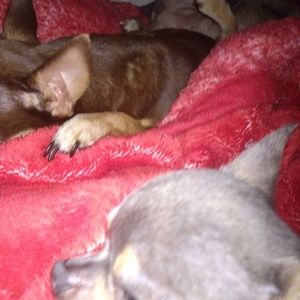 Meet your Posher, Tammy